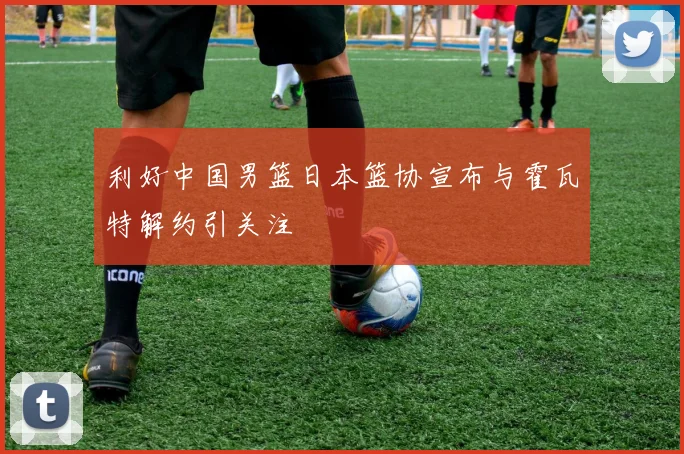 利好中国男篮日本篮协宣布与霍瓦特解约引关注