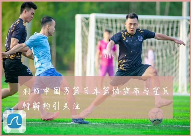 利好中国男篮日本篮协宣布与霍瓦特解约引关注